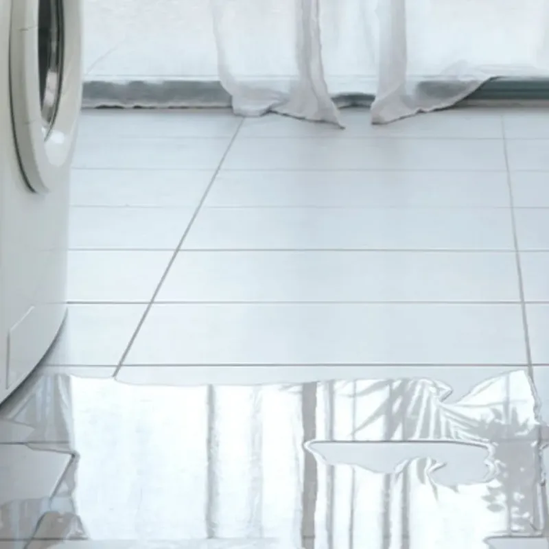 Appliance Leak Cleanup in Grass Lake, MI