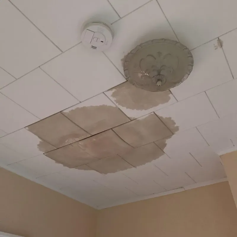 Ceiling Water Damage Repair in Grass Lake, MI