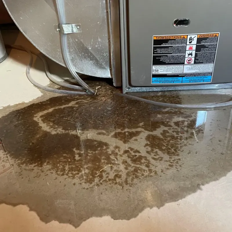 Pipe Burst and Leak Restoration in Grass Lake, MI