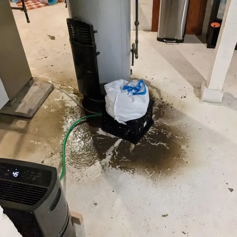 Sewage Backup Cleanup Service in Grass Lake, MI